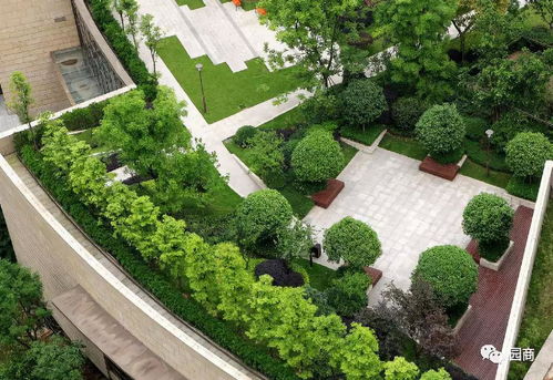 屋顶园林景观设计 建筑工程中的空中绿洲