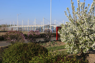 工厂绿化园林与园林景观设计的融合实践